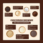 ChocoRush Brownie – Everyday Protein Oats - 480 g