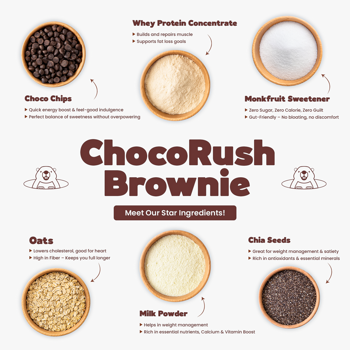 ChocoRush Brownie – Everyday Protein Oats